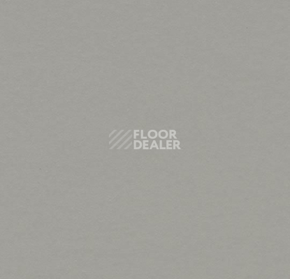 Линолеум Forbo Marmoleum Solid Walton 3371 cement фото 1 | FLOORDEALER